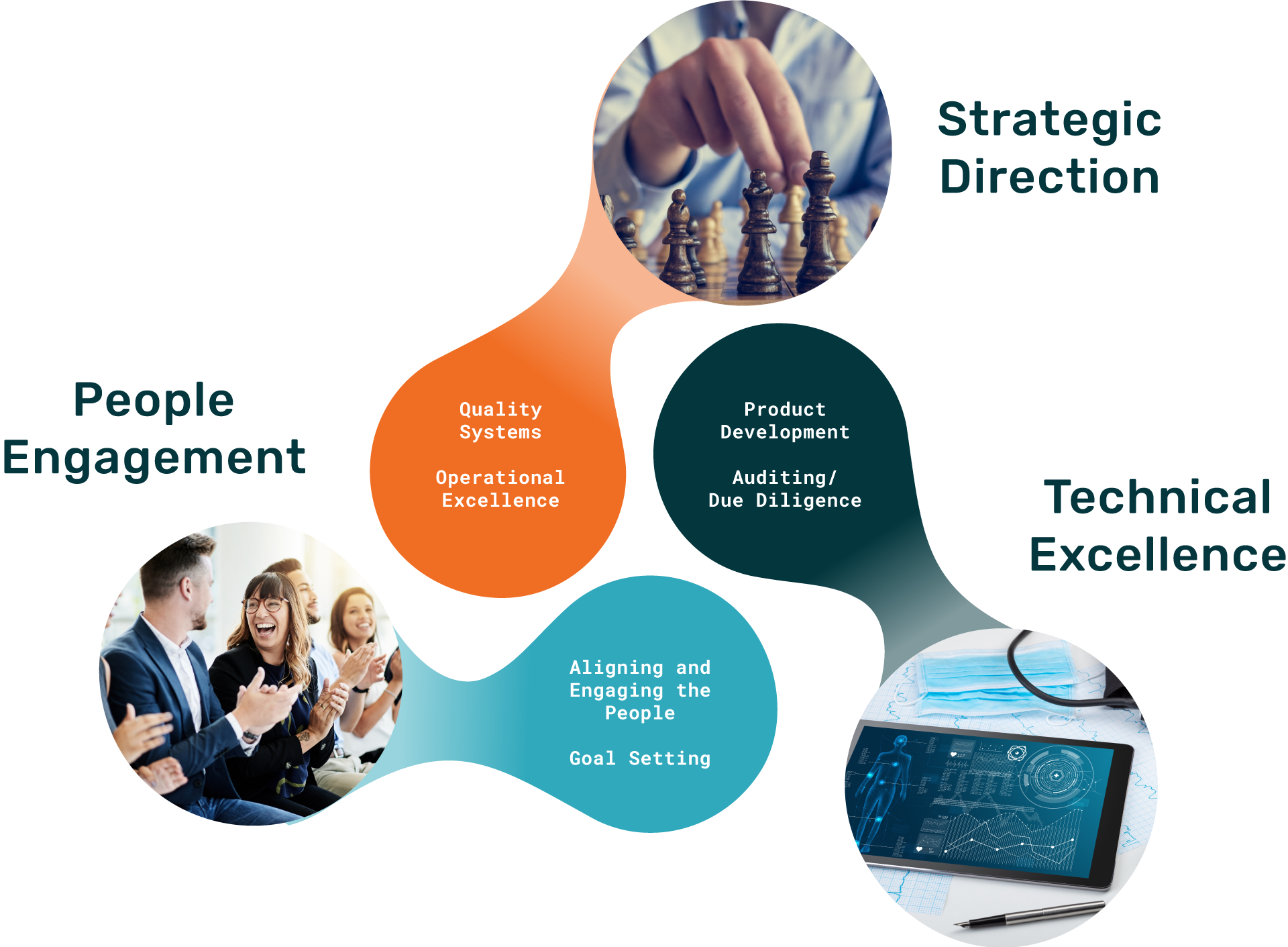 Biotech Advisory Services